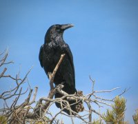 108-2010Furlough-Edit 2.jpg