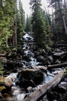 ROMO Wild Basin-9.jpg