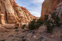 Capitol Reef 3-180316.jpg