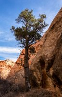 Capitol Reef 3-180345-proc.jpg