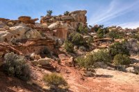 Capitol Reef 3-180382.jpg