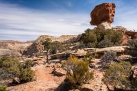 Capitol Reef 3-180384-proc.jpg