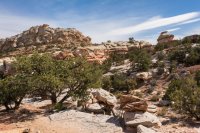 Capitol Reef 3-180394.jpg