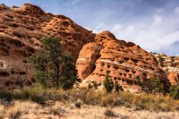 Capitol Reef 3-180499-proc.jpg