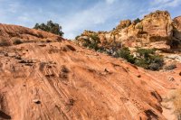 Capitol Reef 3-180533-proc.jpg