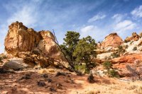 Capitol Reef 3-180536-proc.jpg