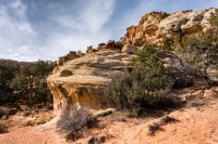 Capitol Reef 3-180539-proc.jpg