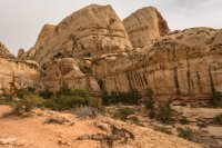 Capitol Reef 3-180753.jpg