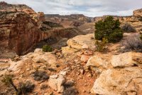 Capitol Reef 3-180785-proc.jpg