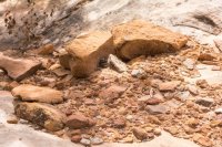 Capitol Reef 3-180803.jpg