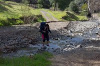 Raving in Nature-4.jpg