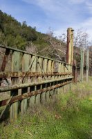 Raving in Nature.jpg