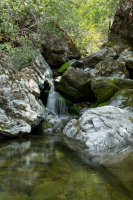 Raving in Nature-10.jpg