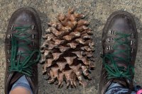 Raving in Nature-6.jpg