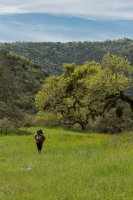 Raving in Nature-11.jpg