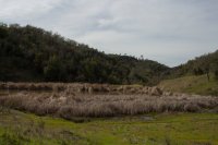 Raving in Nature-14.jpg