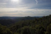 Raving in Nature-18.jpg