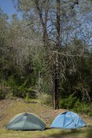 Raving in Nature-19.jpg