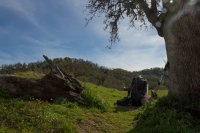 Raving in Nature-15.jpg