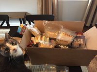 A125B701-A1E4-4DFA-8CC0-339C5FCED363.jpeg A125B701-A1E4-4DFA-8CC0-339C5FCED363.jpeg