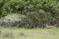 Valley Springs-5.jpg