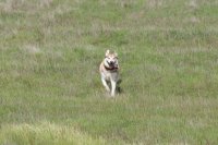 Valley Springs-7.jpg