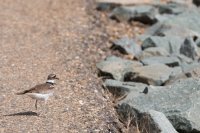 Valley Springs-8.jpg