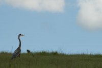 Valley Springs-11.jpg