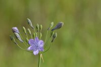 Valley Springs-13.jpg