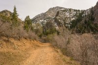 Neffs Canyon 4-20180019.jpg