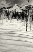 Neffs Canyon 4-20180132-bw_1.jpg