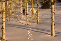 Neffs Canyon 4-20180154-proc.jpg