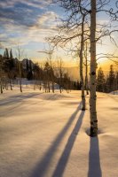 Neffs Canyon 4-20180162-proc.jpg