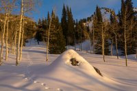 Neffs Canyon 4-20180168.jpg