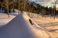 Neffs Canyon 4-20180175-proc.jpg