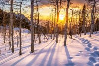 Neffs Canyon 4-20180203.jpg