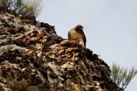 Southwest_001.JPG Southwest_001.JPG