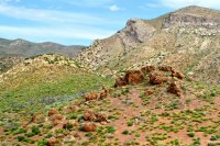 Southwest_002.JPG Southwest_002.JPG