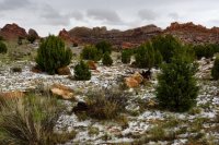 Southwest_013.JPG Southwest_013.JPG