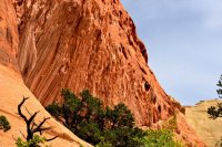 Southwest_016.JPG Southwest_016.JPG