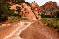 Southwest_017.JPG Southwest_017.JPG