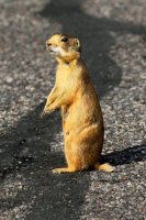 Southwest_027.JPG Southwest_027.JPG