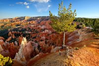 Southwest_030.JPG Southwest_030.JPG