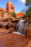 Southwest_033.JPG Southwest_033.JPG