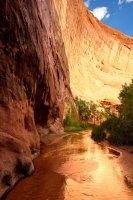 Southwest_036.JPG Southwest_036.JPG