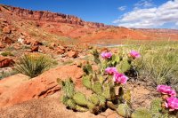 Southwest_045.JPG Southwest_045.JPG