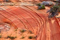 Southwest_047.JPG Southwest_047.JPG