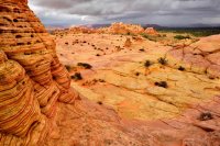 Southwest_049.JPG Southwest_049.JPG