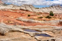 Southwest_051.JPG Southwest_051.JPG