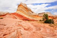 Southwest_060.JPG Southwest_060.JPG